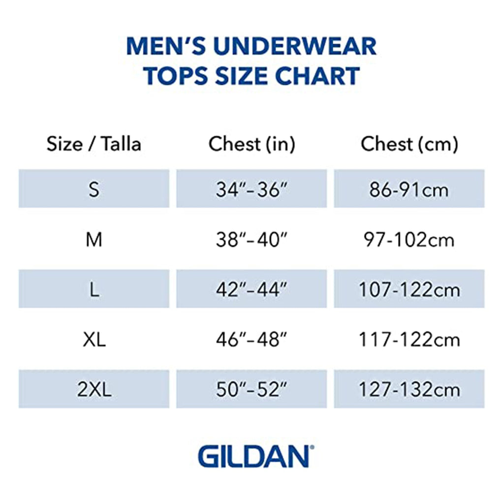 Gildan Men's V-neck T-shirts, Multipack, Style G1103 JEC Shops LLC